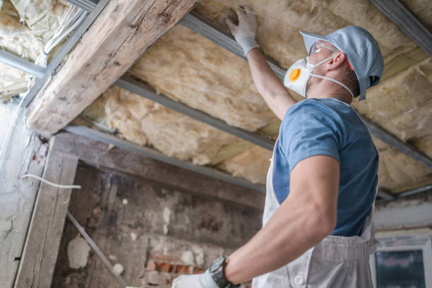 Best Commercial Insulation Contractor  in Baudette, MN