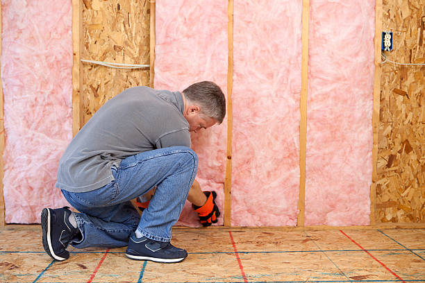 Best Residential Insulation Services  in Baudette, MN
