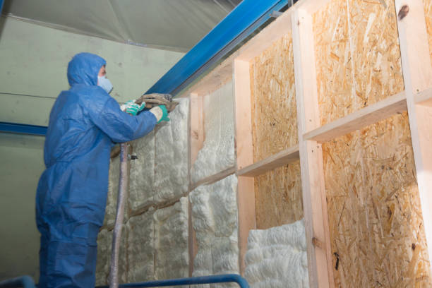 Range of Insulation Solutions in Baudette, MN