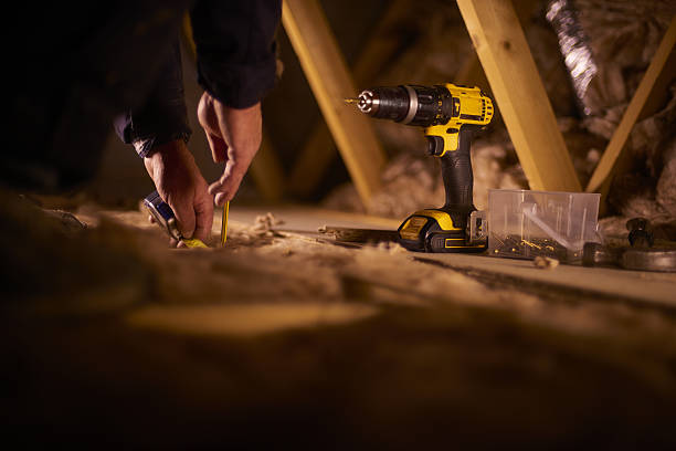 Best Attic Insulation Installation  in Baudette, MN