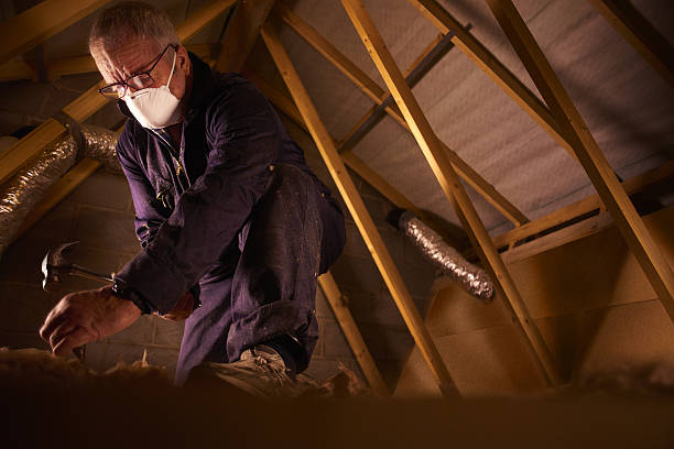 Best Spray Foam Insulation  in Baudette, MN
